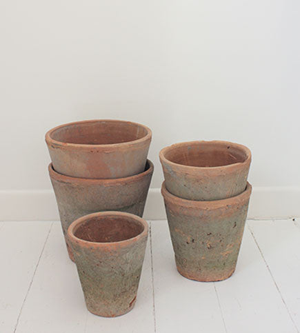 Aged Rose Pots | Medium and Large